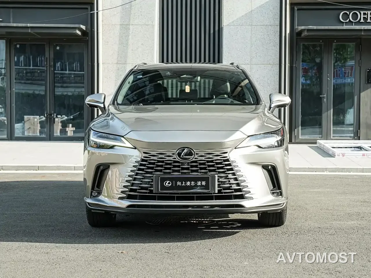Lexus RX New Energy 2023 450h+ 4WD Enjoyment — фото 2