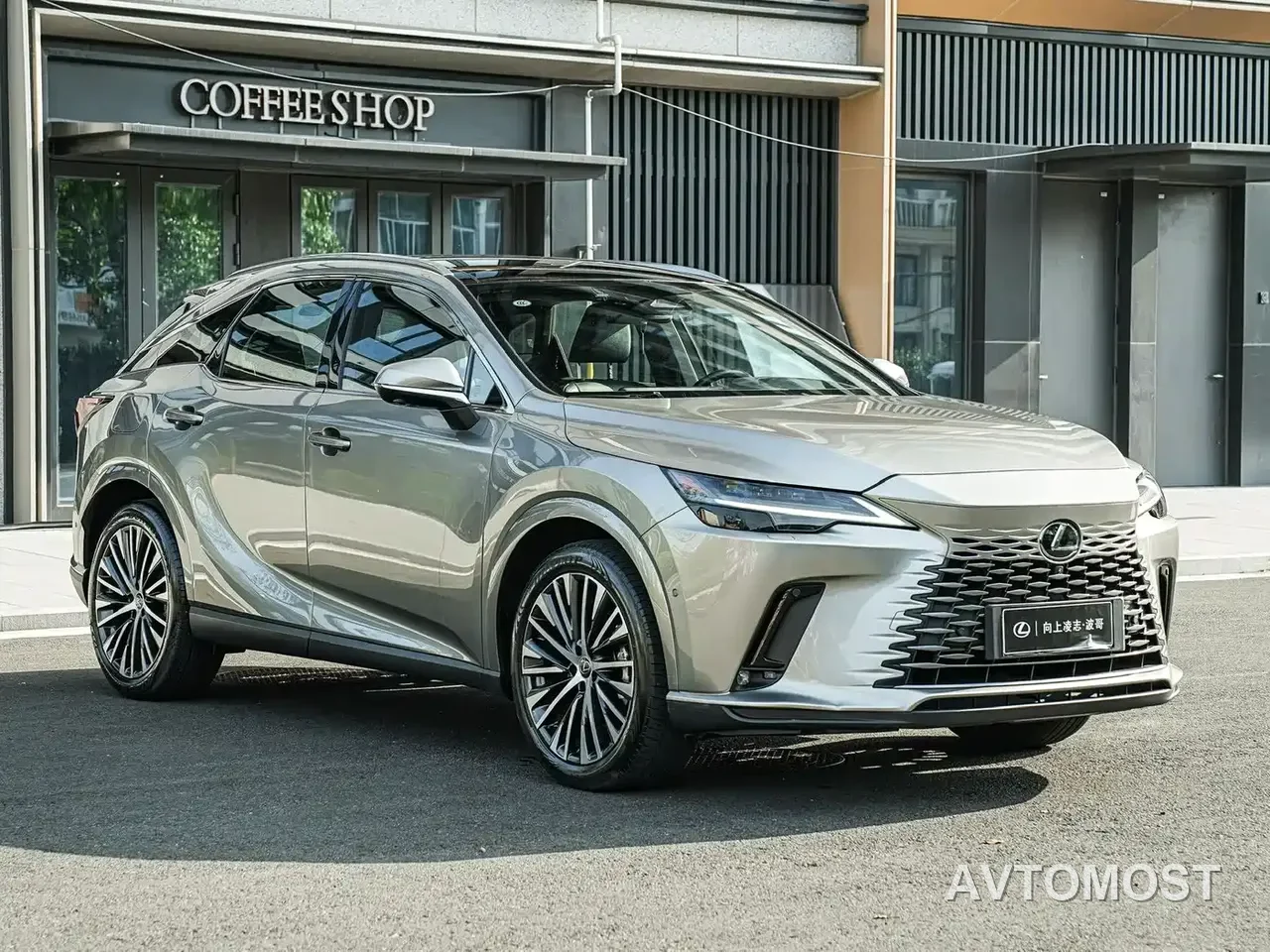 Lexus RX New Energy 2023 450h+ 4WD Enjoyment — фото 3
