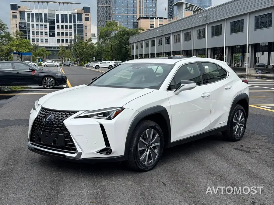 Lexus UX Electric 2020 300e Pure Yue Edition