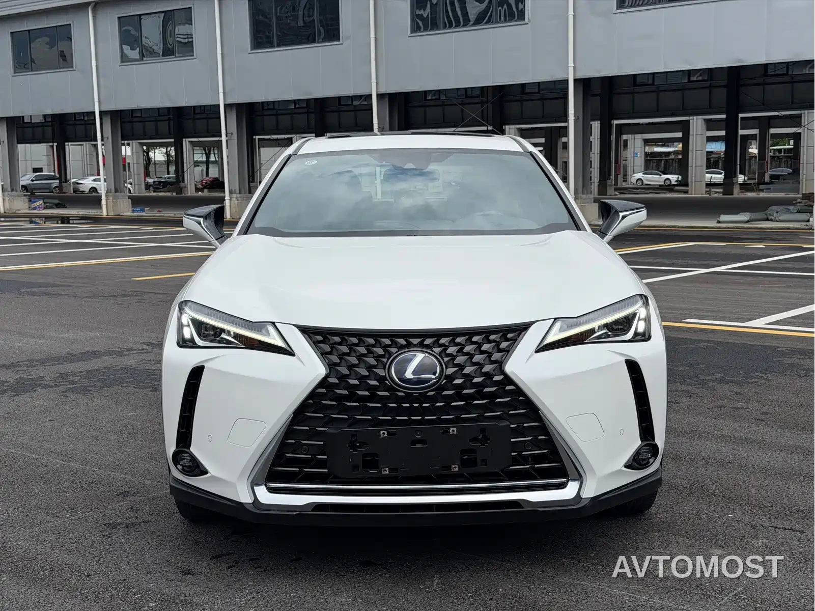 Lexus UX Electric 2020 300e Pure Yue Edition — фото 2