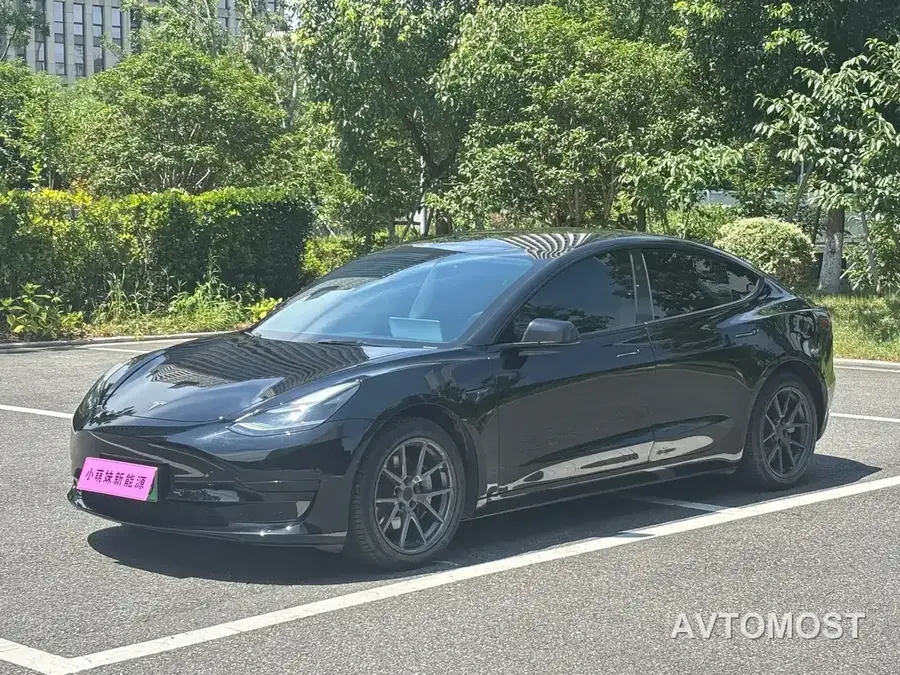 Tesla Model 3 2021 Standard Range Rear-Wheel Drive Upgrade 3D6