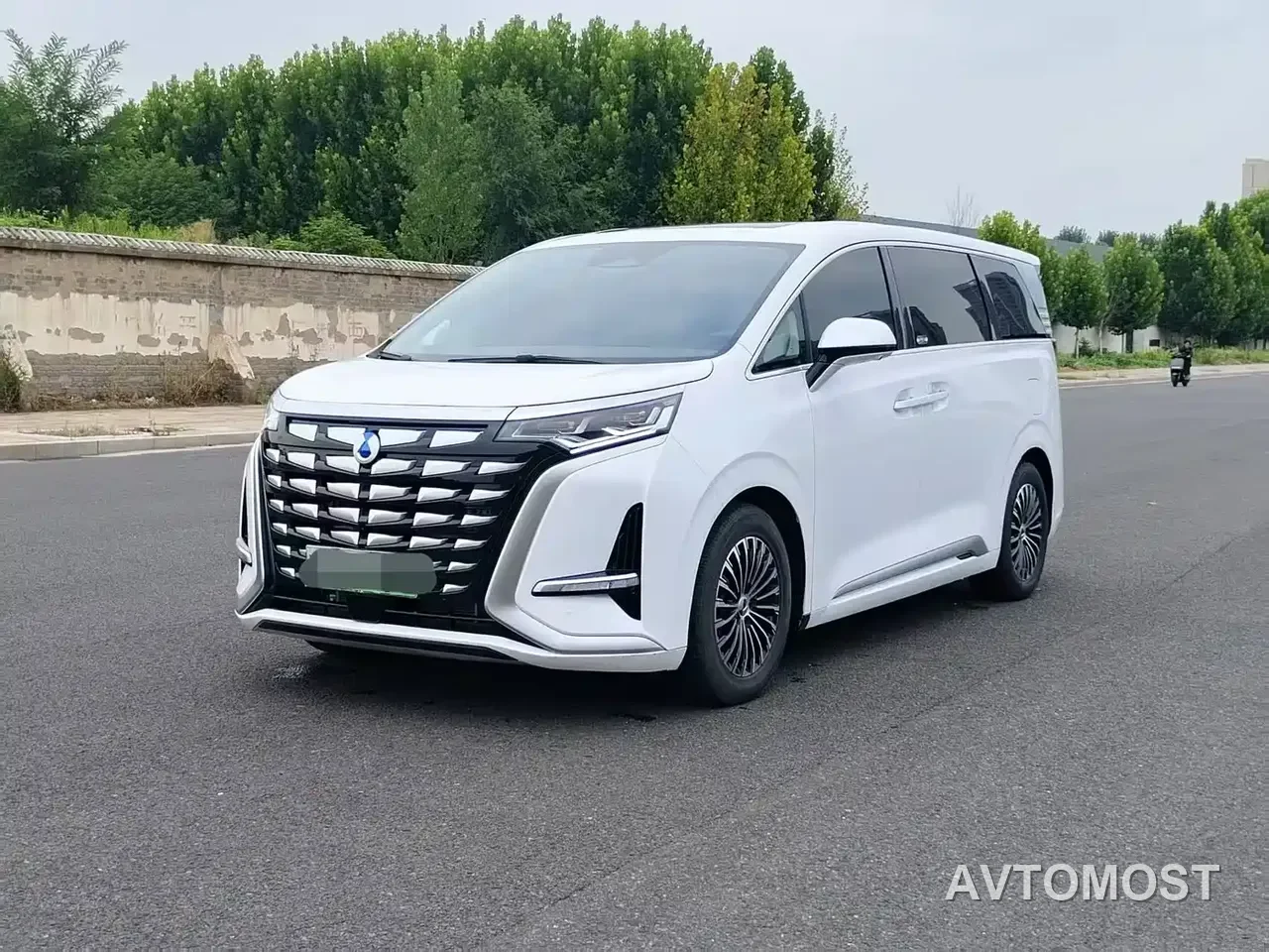 Denza D9 2022 DM-i 970 All-Wheel Drive Honor Edition — фото 1