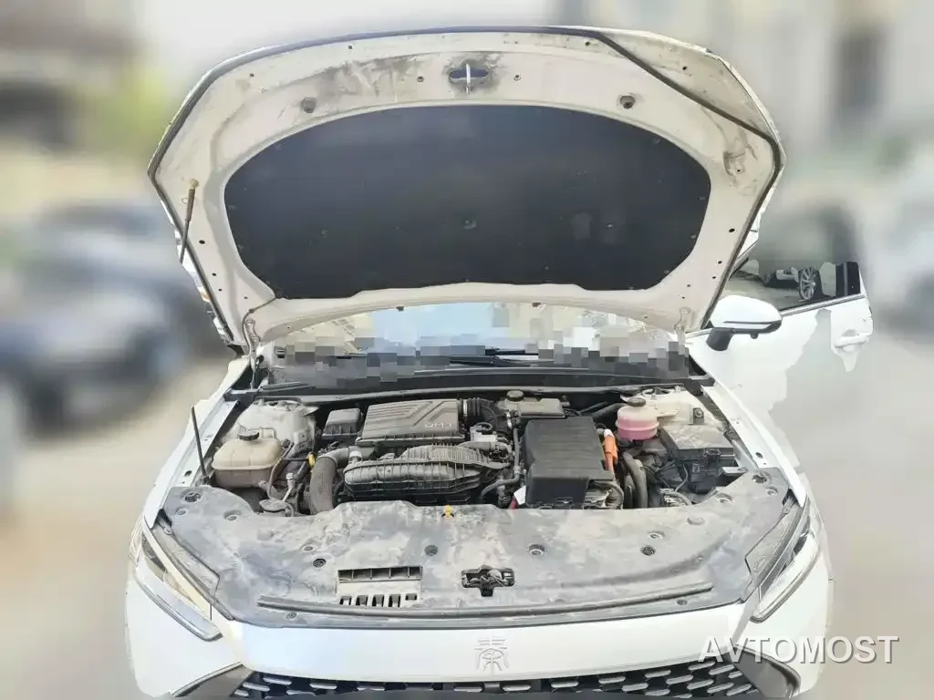 BYD Qin PLUS 2023 Champion Edition DM-i 55KM Leading — фото 3
