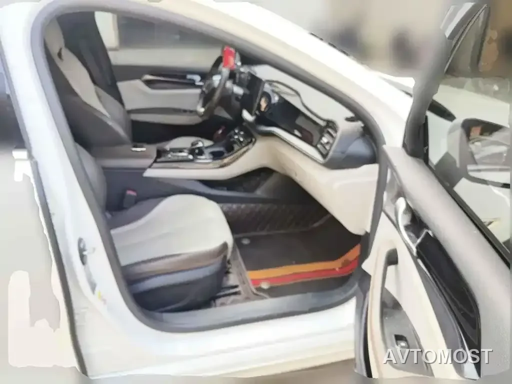 BYD Qin PLUS 2023 Champion Edition DM-i 55KM Leading — фото 12