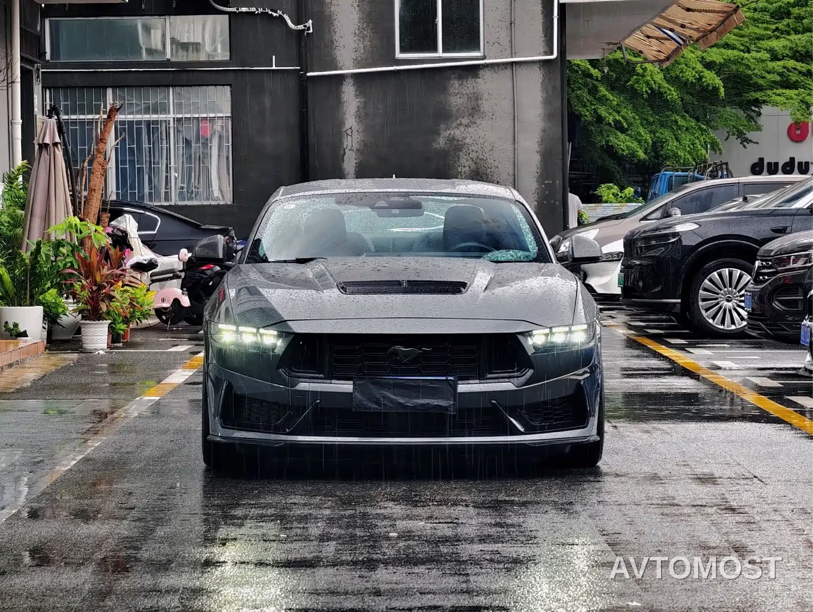 Ford Mustang 2024 5.0L V8 Dark Horse — фото 2