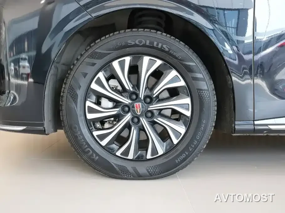 Hongqi HQ9 PHEV 2024 Model 2.0T AWD Business Edition — фото 18