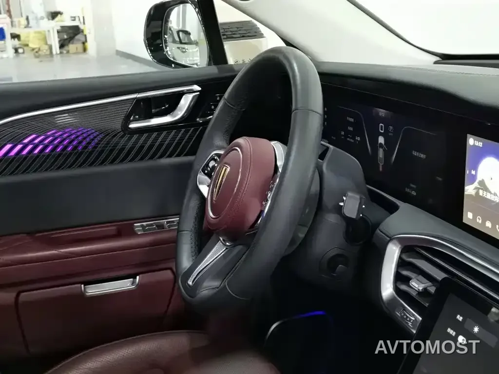 Hongqi E-HS9 2021 510km Flagship Comfort 6-seater — фото 20