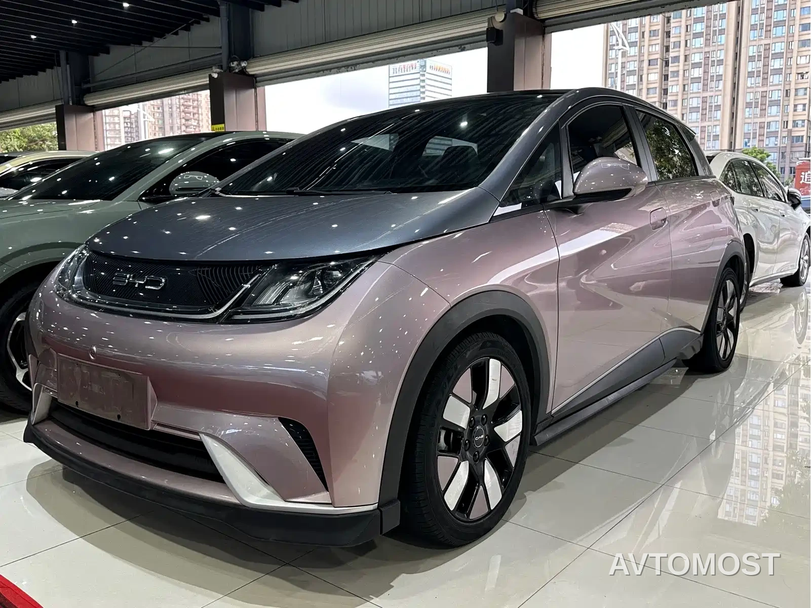 BYD Dolphin 2021 401km Knight Edition — фото 1