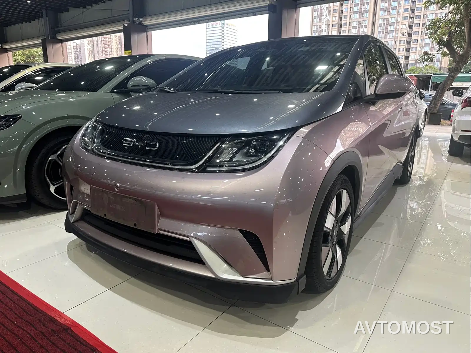 BYD Dolphin 2021 401km Knight Edition — фото 2