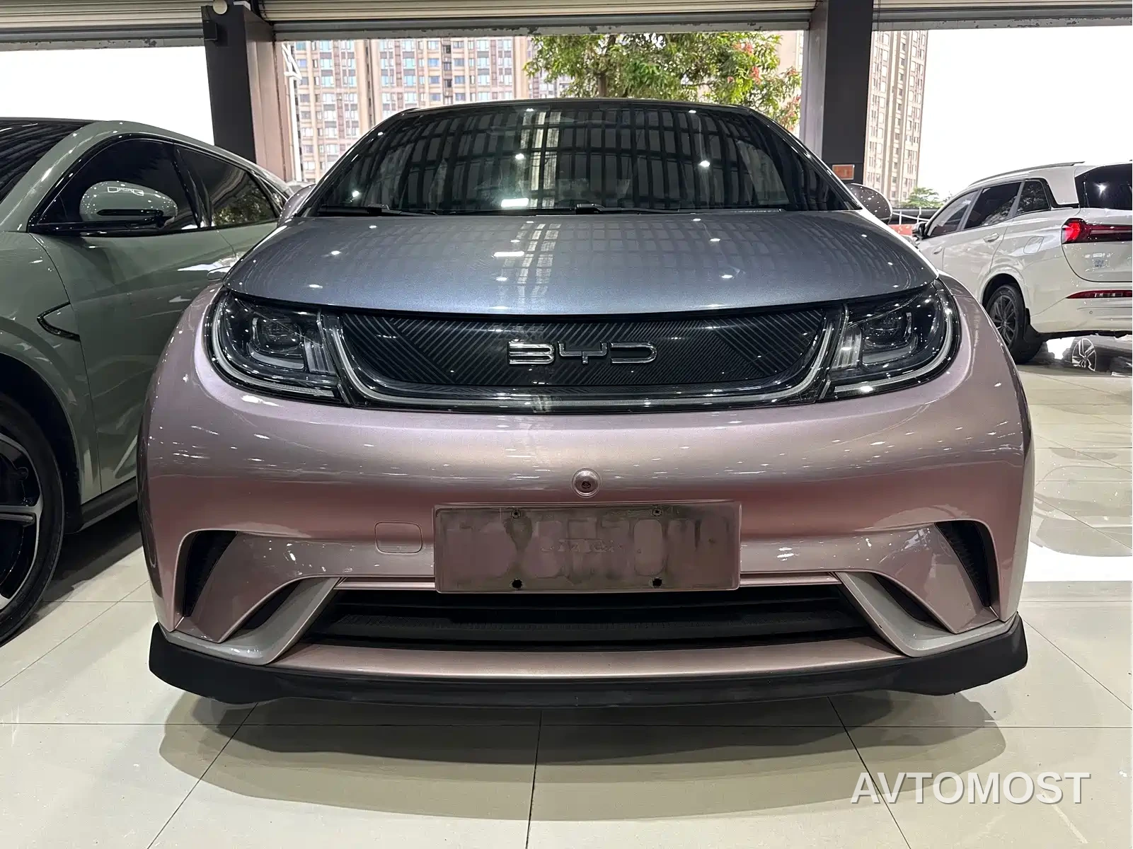 BYD Dolphin 2021 401km Knight Edition — фото 3