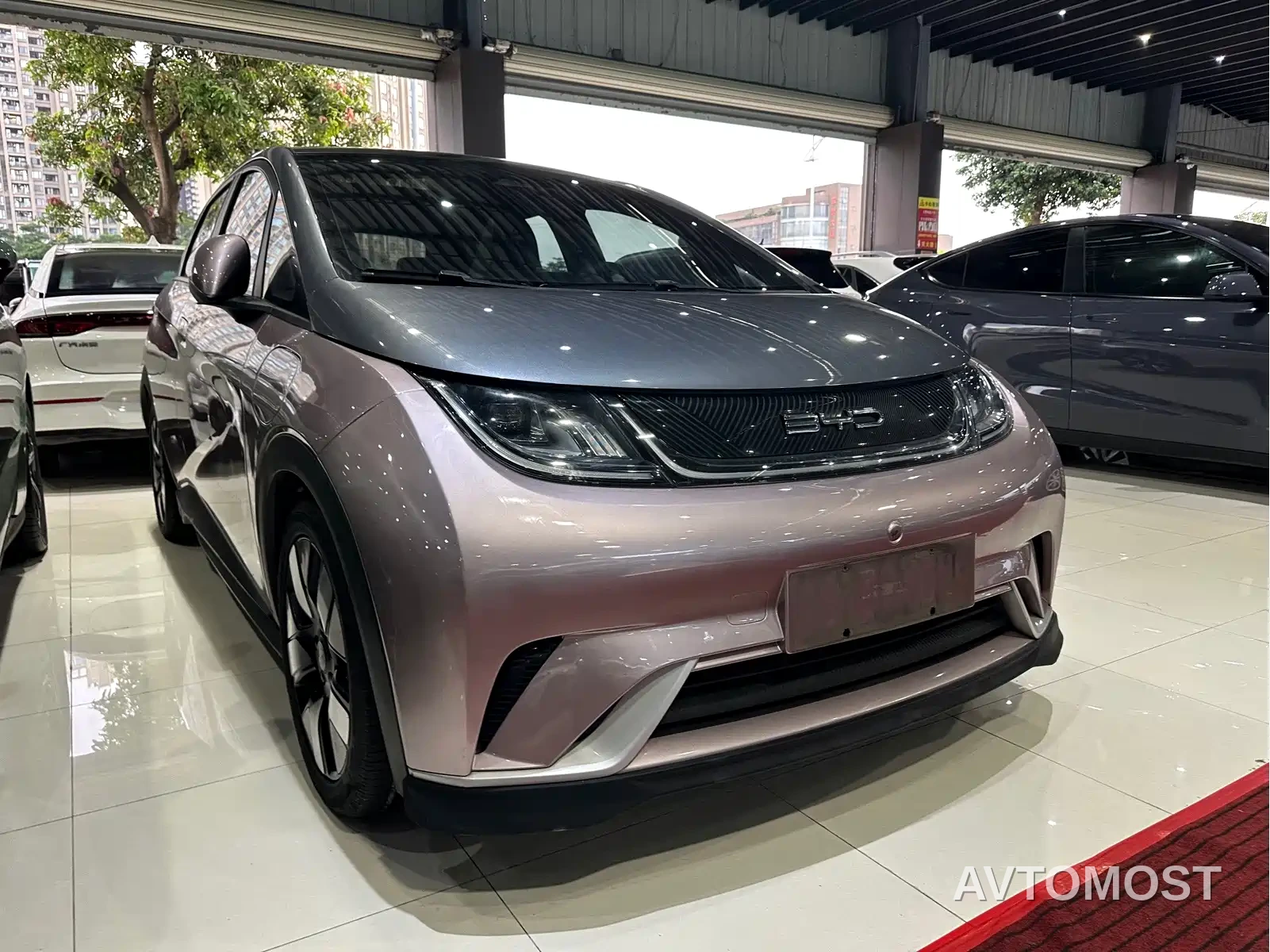 BYD Dolphin 2021 401km Knight Edition — фото 4