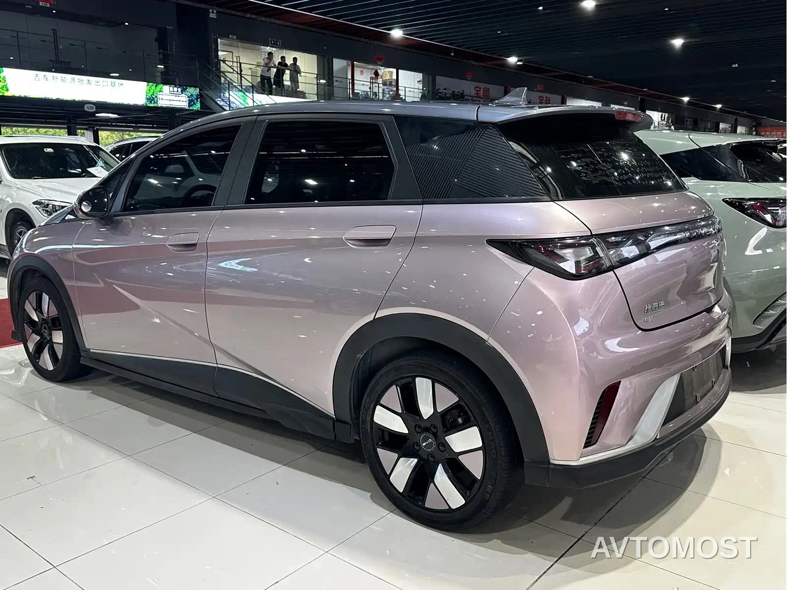 BYD Dolphin 2021 401km Knight Edition — фото 5