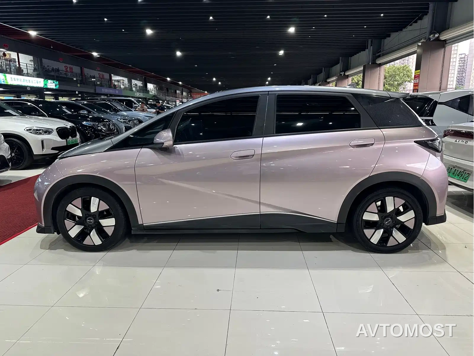 BYD Dolphin 2021 401km Knight Edition — фото 6