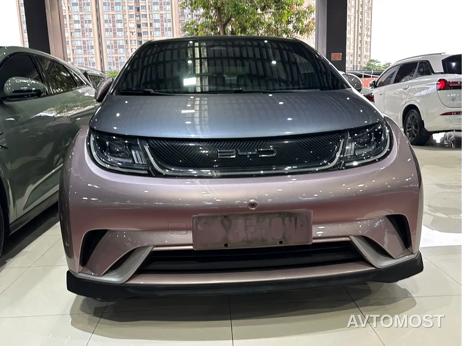 BYD Dolphin 2021 401km Knight Edition — фото 7