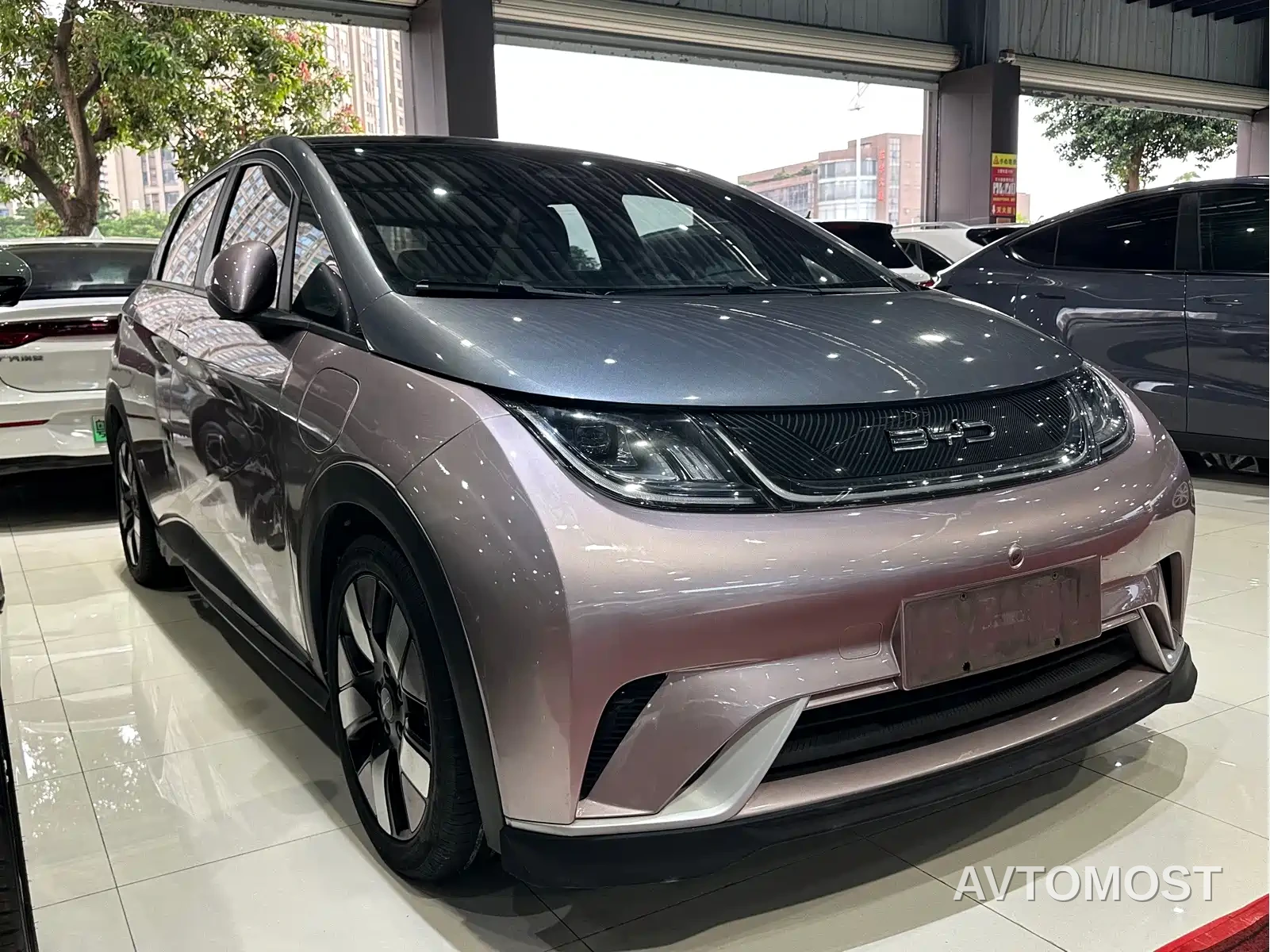 BYD Dolphin 2021 401km Knight Edition — фото 8