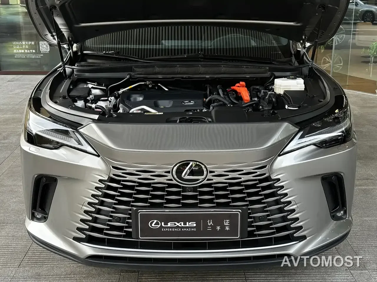 Lexus RX New Energy 2023 450h+ 4WD Enjoyment — фото 3