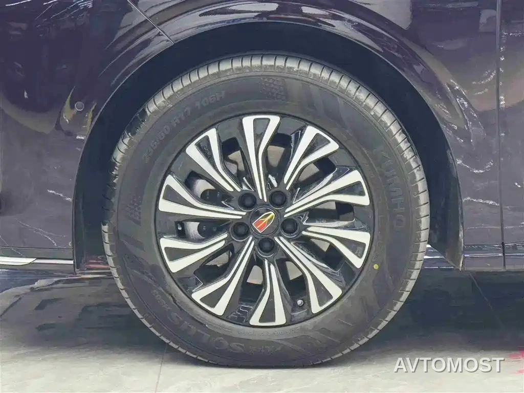 Hongqi HQ9 PHEV 2024 Model 2.0T AWD Business Edition — фото 3
