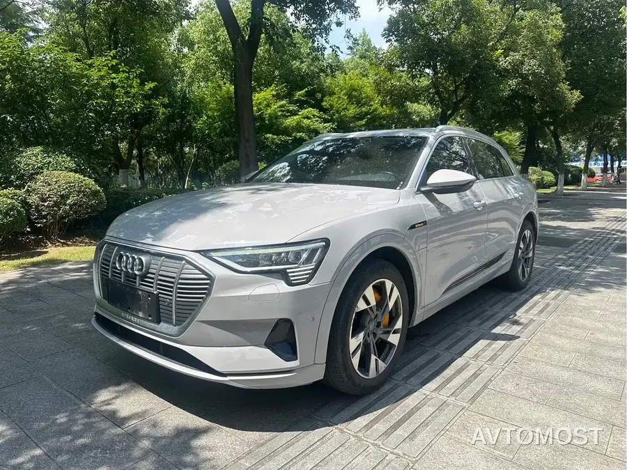Audi e-tron (Import) 2019 55 quattro Exclusive