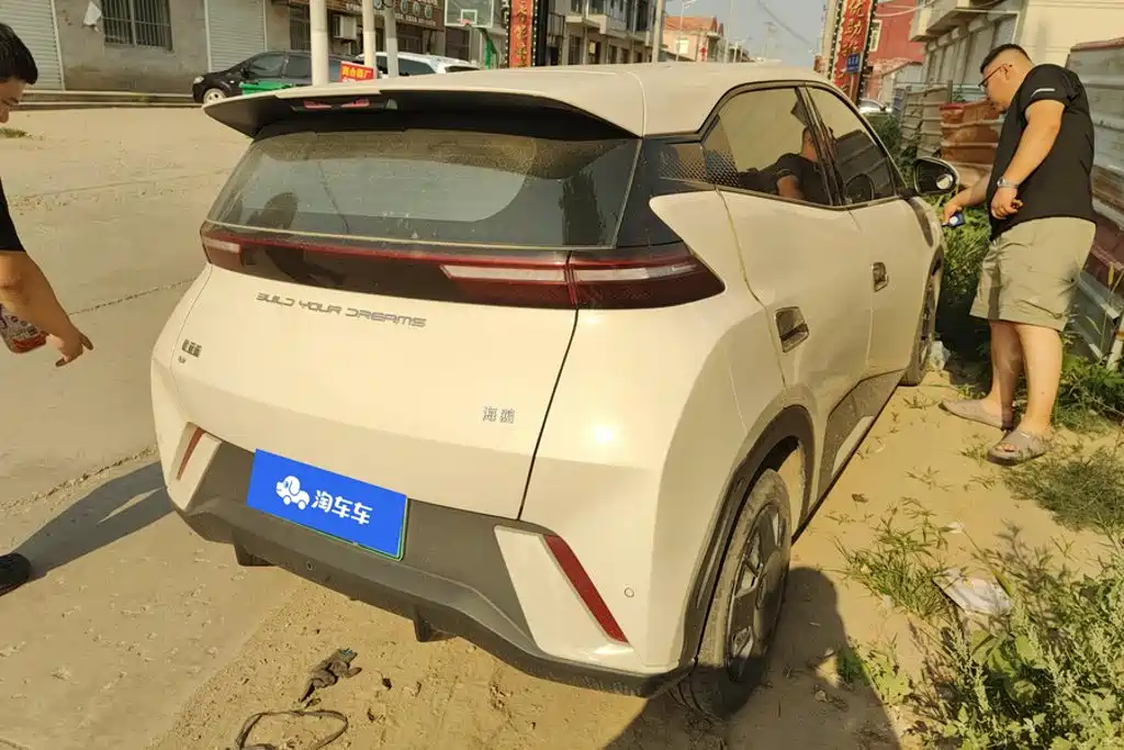 BYD Seagull 2024 Glory Edition 305km Vitality Edition — фото 3