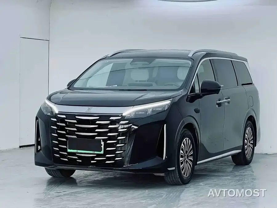 BYD Xia 2025 DM-i 1.5T 100km Leading Edition
