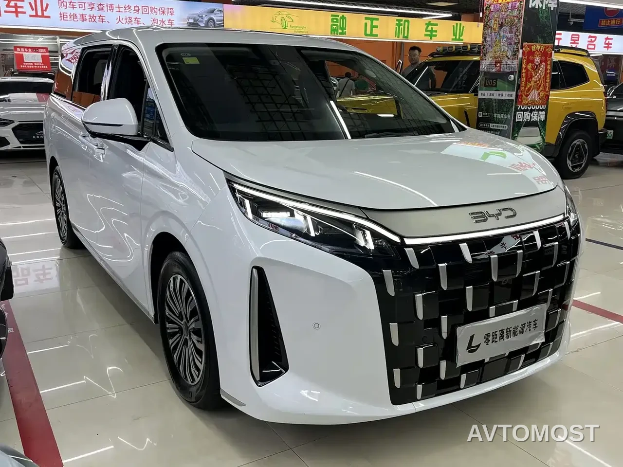 BYD M9 2025 Model 1060 Pilot Edition — фото 1