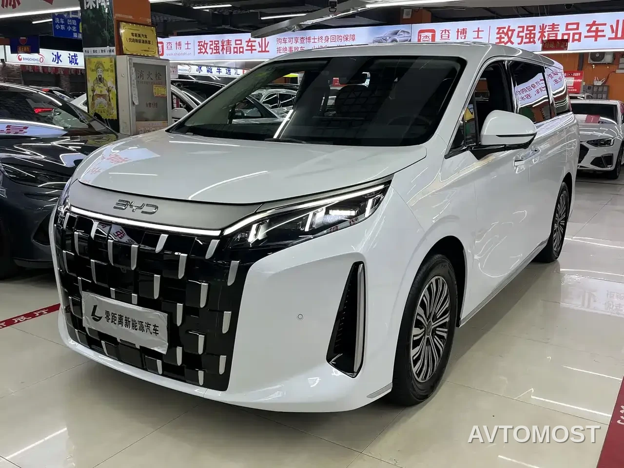 BYD M9 2025 Model 1060 Pilot Edition — фото 3