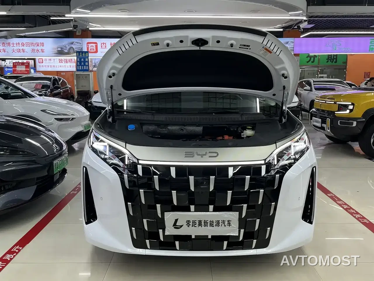 BYD M9 2025 Model 1060 Pilot Edition — фото 11