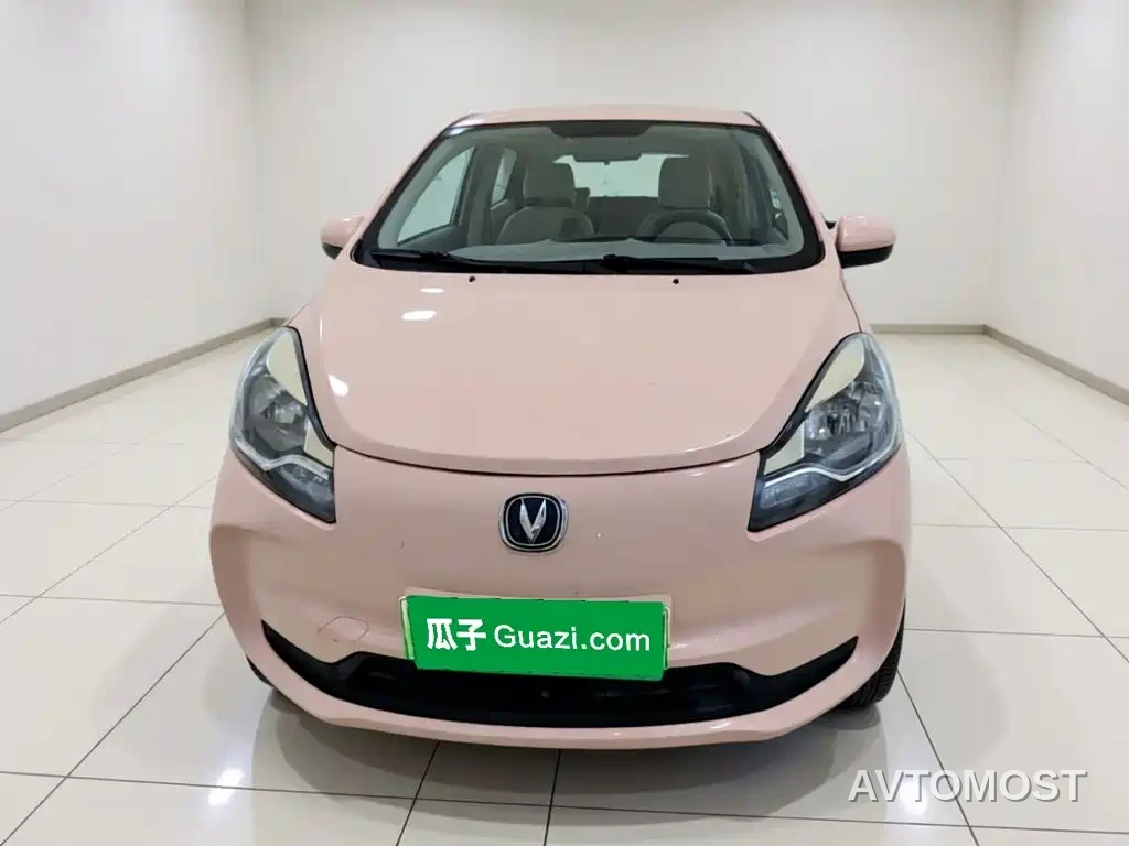 Changan Benben E-Star 2022 Appreciation Edition Colorful LFP — фото 2