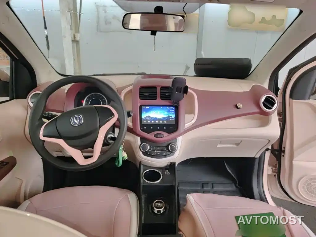 Changan Benben E-Star 2022 Appreciation Edition Colorful LFP — фото 5