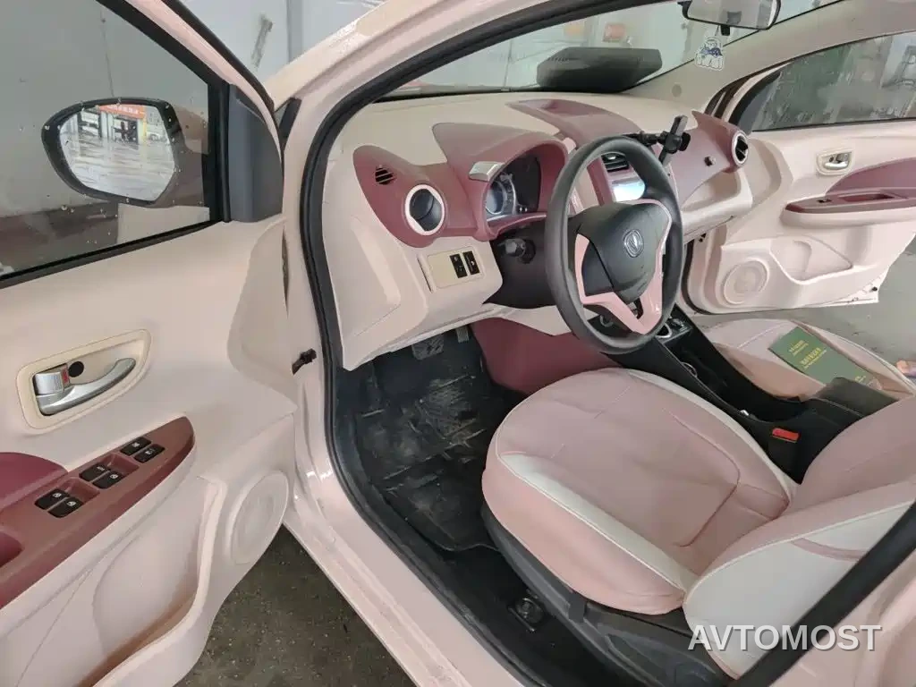 Changan Benben E-Star 2022 Appreciation Edition Colorful LFP — фото 12