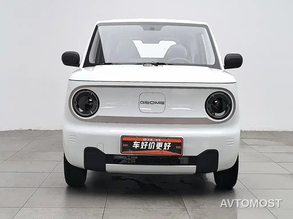 Geely Galaxy Panda 2023 Panda Mini 200km Endurance Bear — фото 2