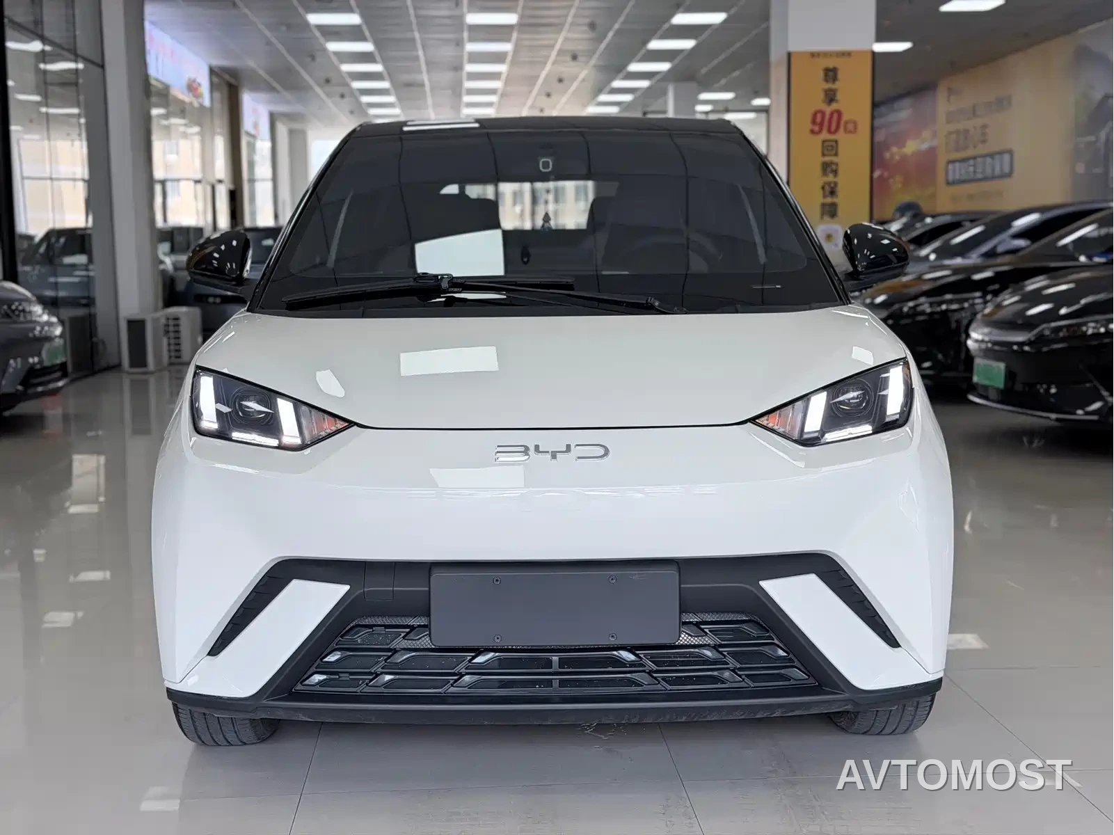 BYD Seagull 2023 Freedom Edition — фото 1