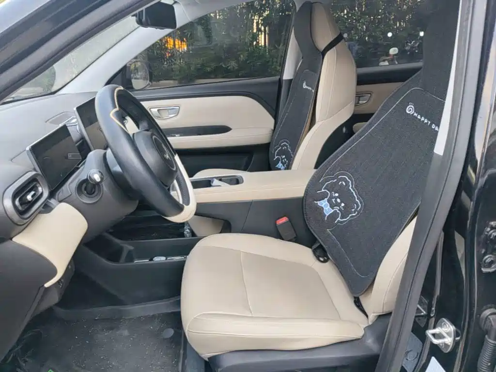 Wuling Binguo PLUS 2024 Model 510km Flagship Edition 4-Seater — фото 15