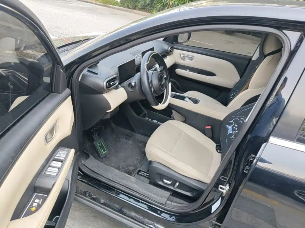 Wuling Binguo PLUS 2024 Model 510km Flagship Edition 4-Seater — фото 16