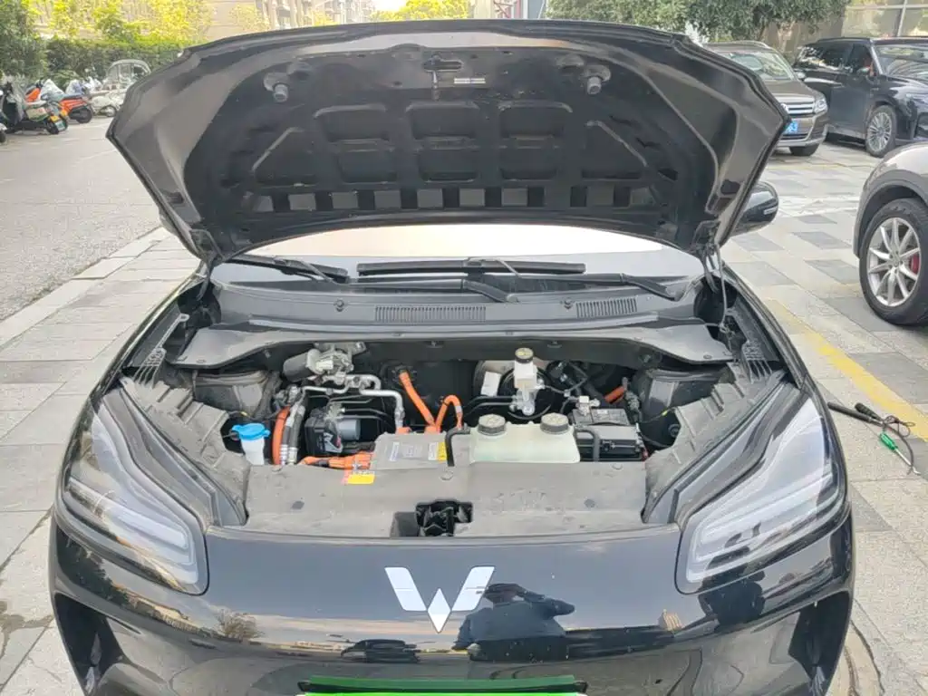 Wuling Binguo PLUS 2024 Model 510km Flagship Edition 4-Seater — фото 20