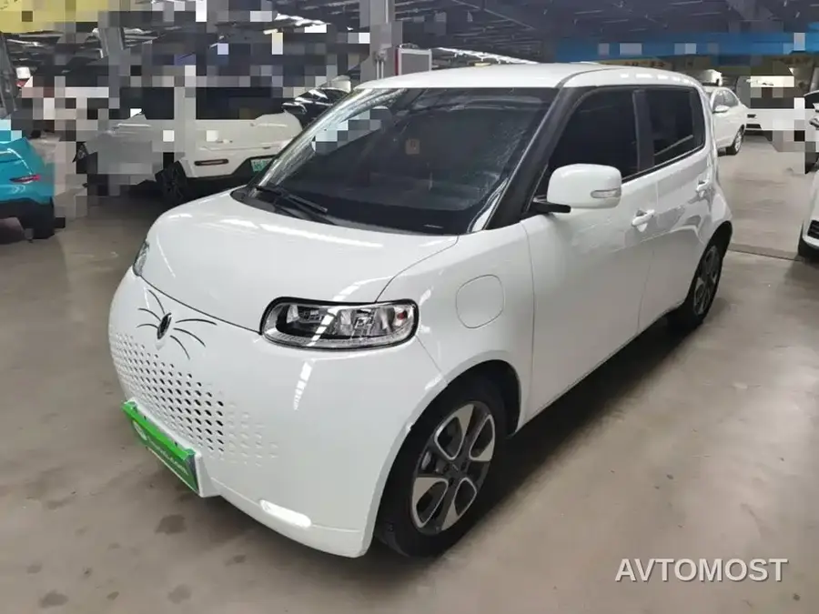 Ora White Cat 2020 305km Luxury