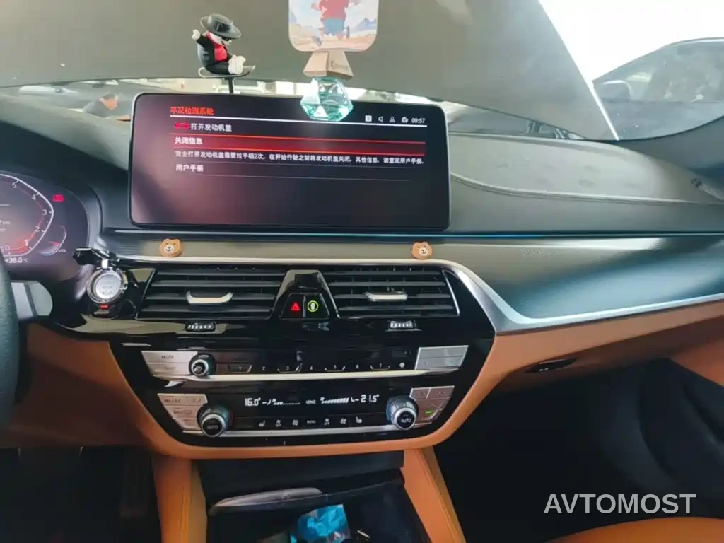 BMW 5 Series (Import) 2022 Facelift 530i M Sport Package — фото 13