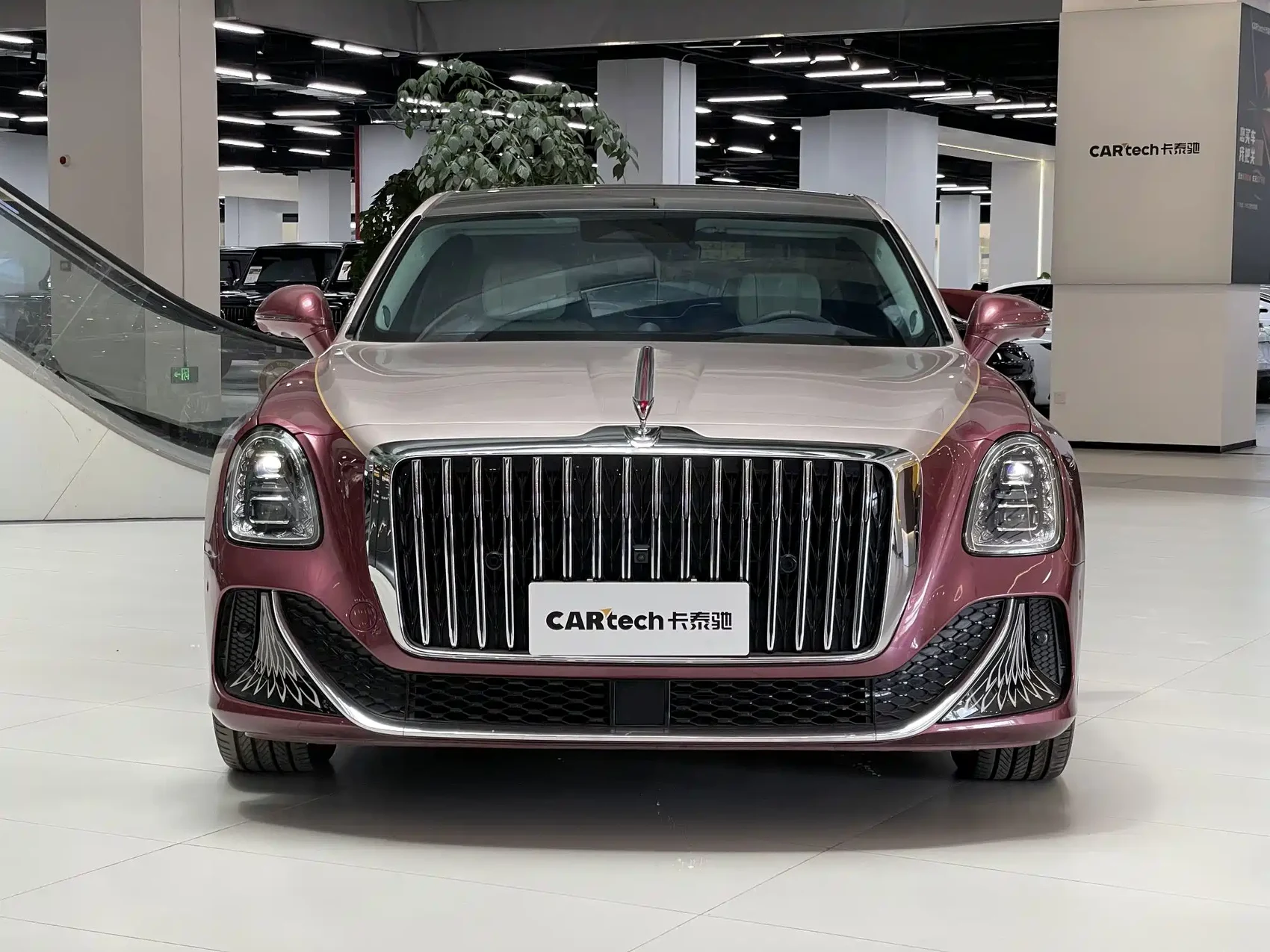 Hongqi Guoya 2024 4.0T V8 Version — фото 2
