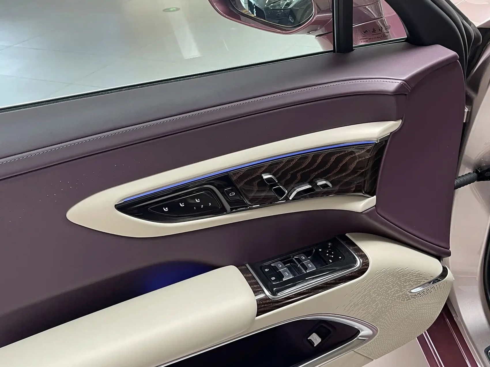 Hongqi Guoya 2024 4.0T V8 Version — фото 15