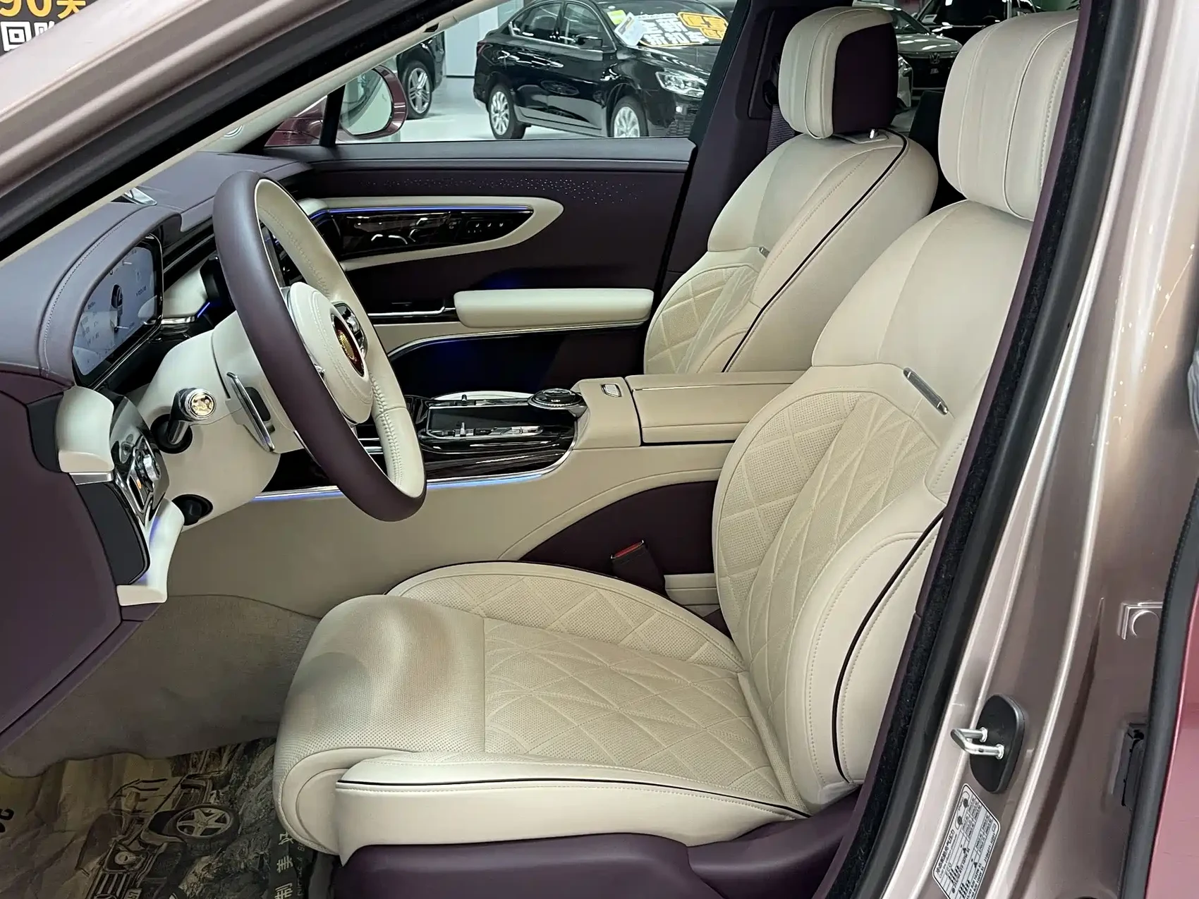 Hongqi Guoya 2024 4.0T V8 Version — фото 16