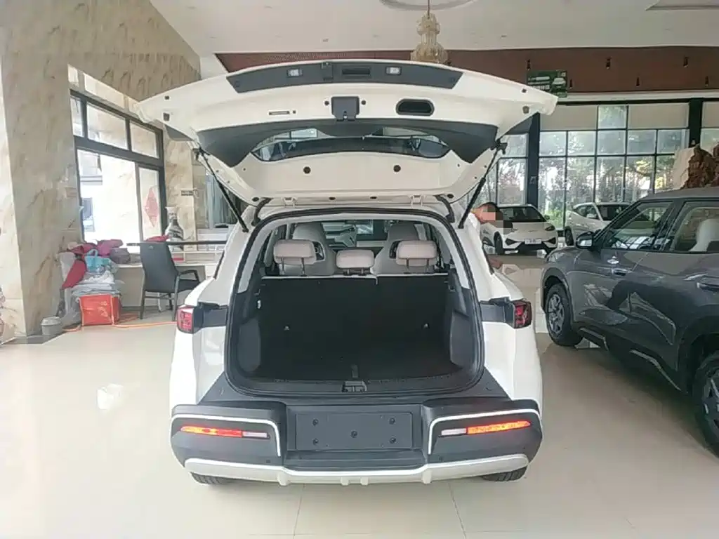 BYD Yuan UP 2025 Model 301KM Navigator — фото 19