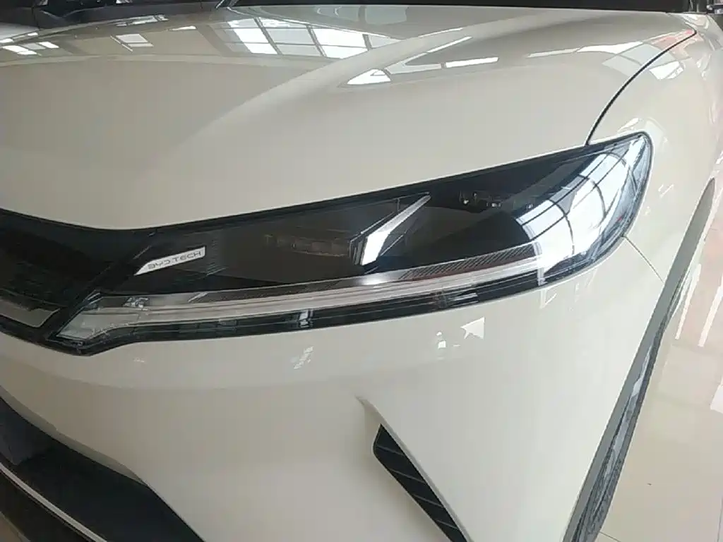 BYD Yuan UP 2025 Model 301KM Navigator — фото 24