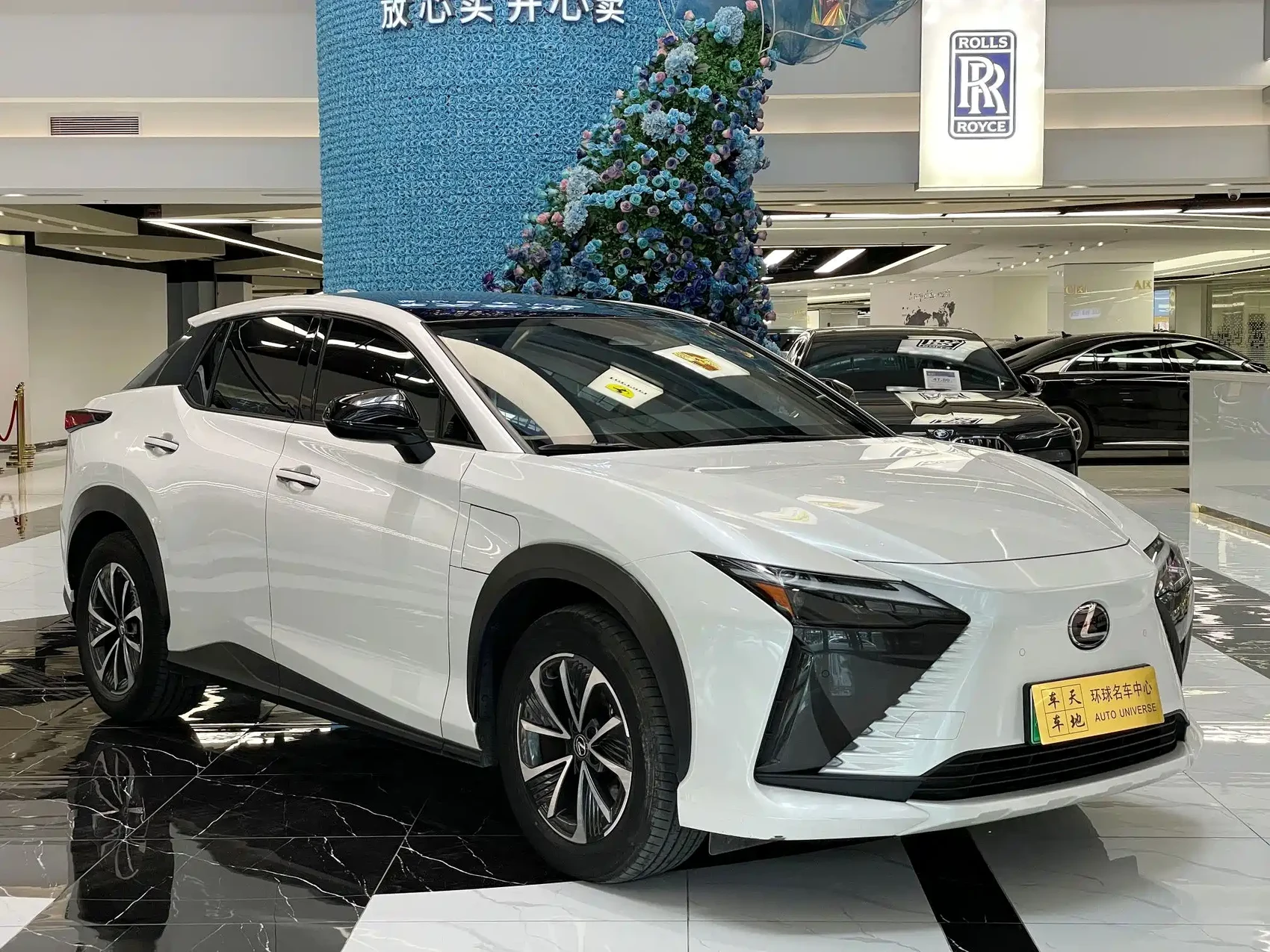 Lexus RZ 2023 450e 4WD Deluxe — фото 3