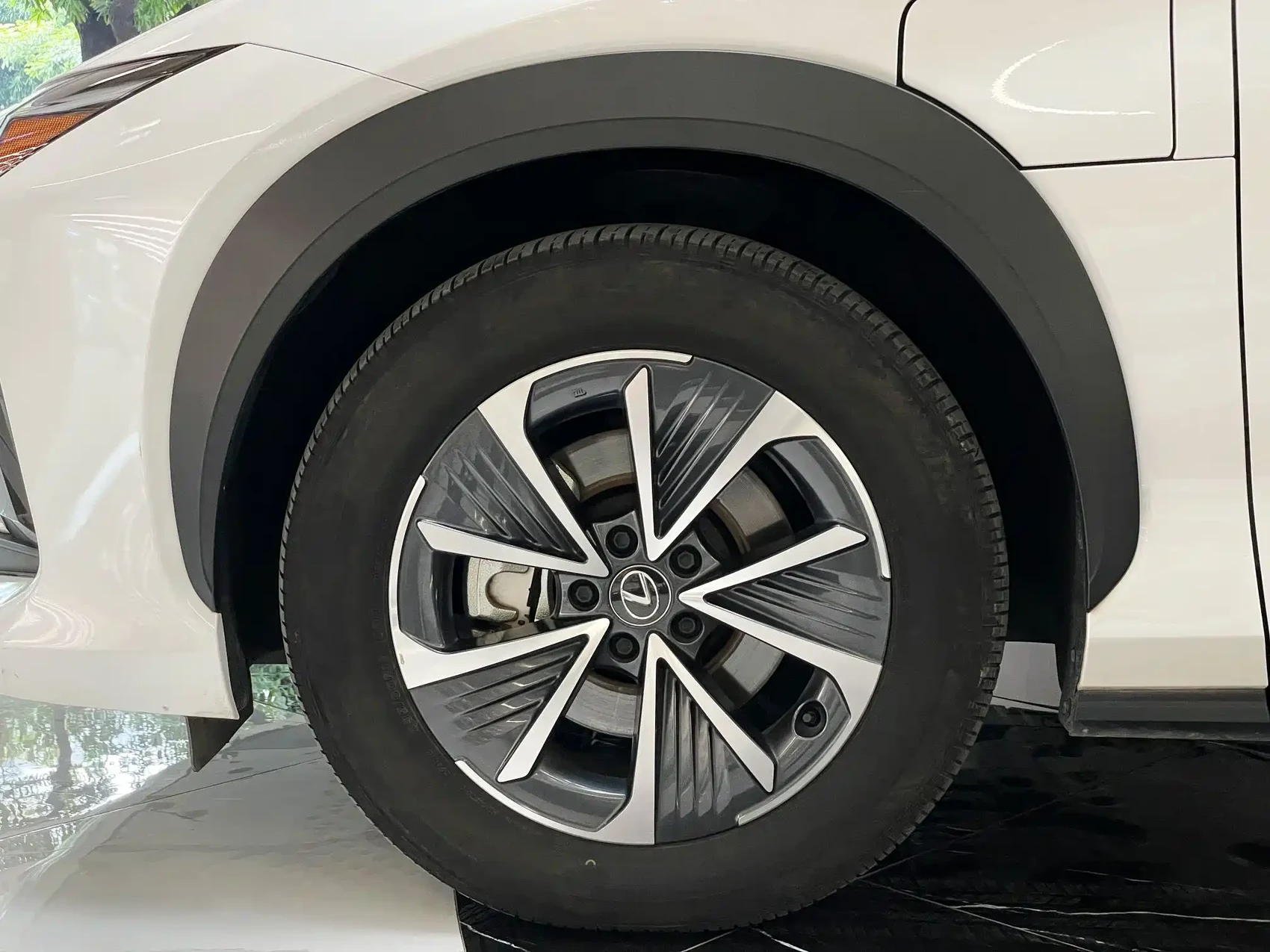 Lexus RZ 2023 450e 4WD Deluxe — фото 20