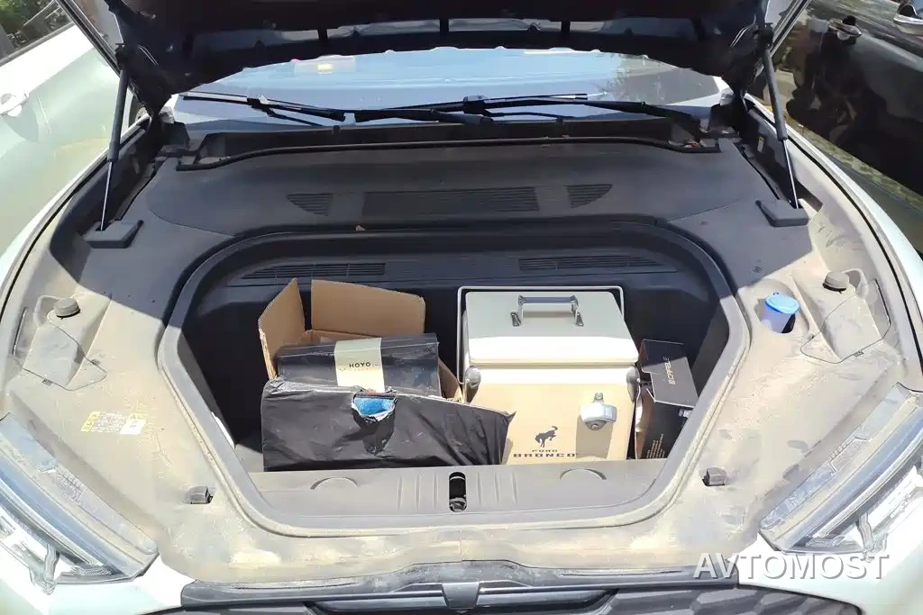 Ford Mustang Mach-E 2021 Boundless RWD Luxury (Long Range) — фото 9