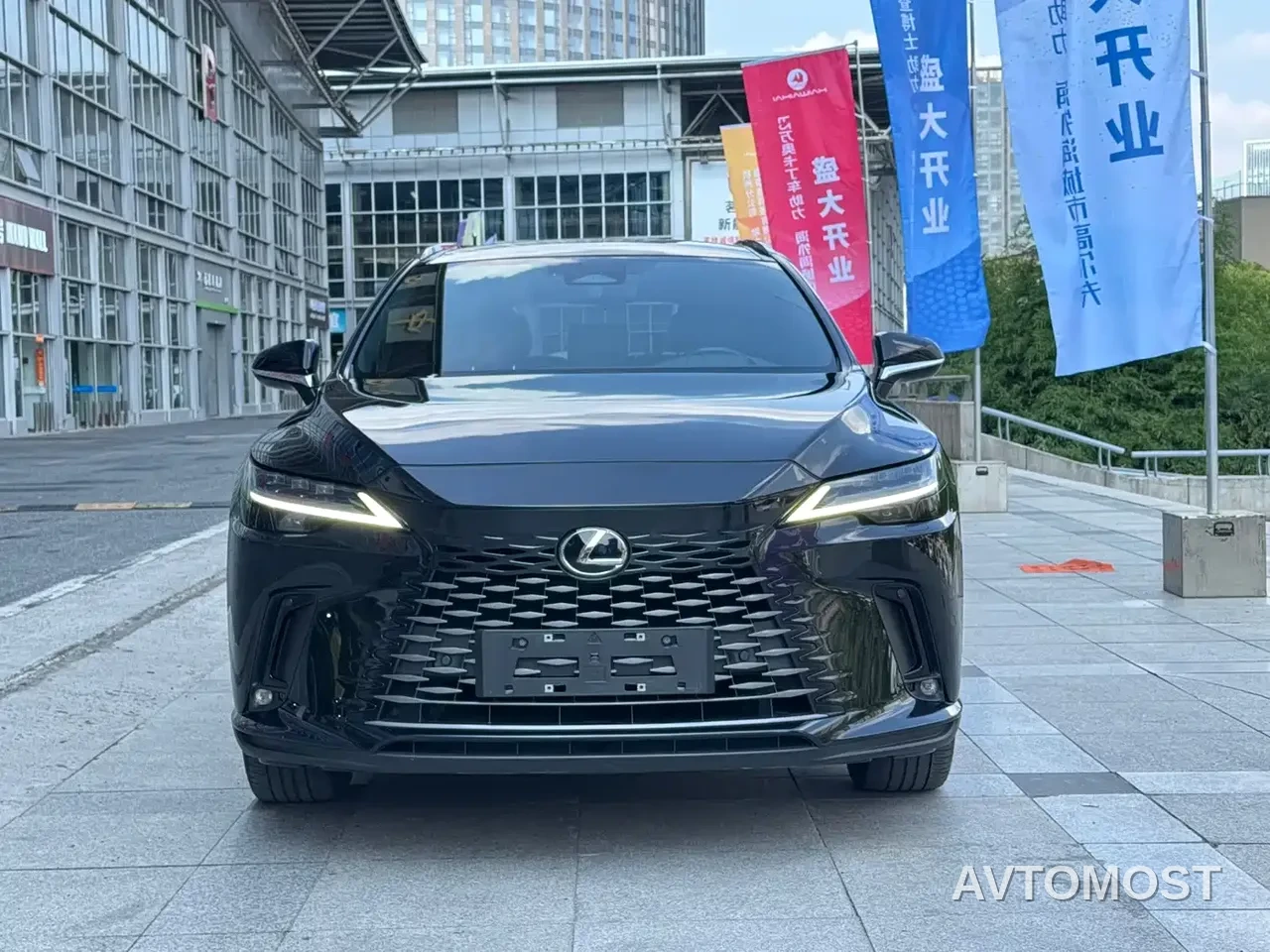 Lexus RX New Energy 2023 450h+ 4WD Enjoyment — фото 2