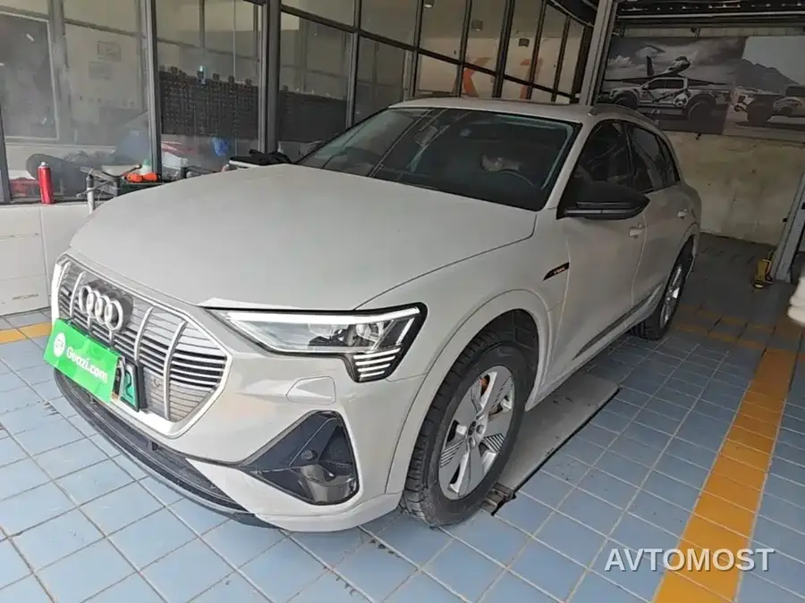 Audi e-tron 2021 50 quattro Luxury