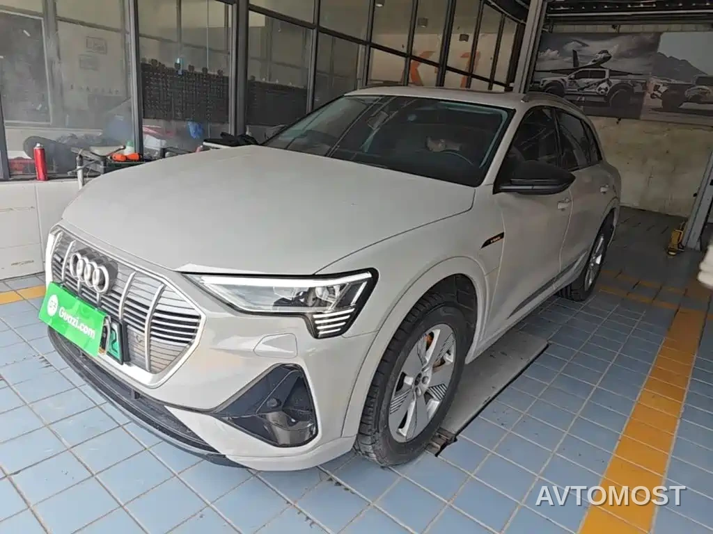 Audi e-tron 2021 50 quattro Luxury — фото 2