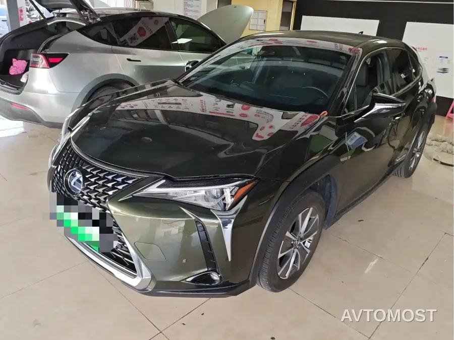 Lexus UX Electric 2020 300e Pure Yue Edition