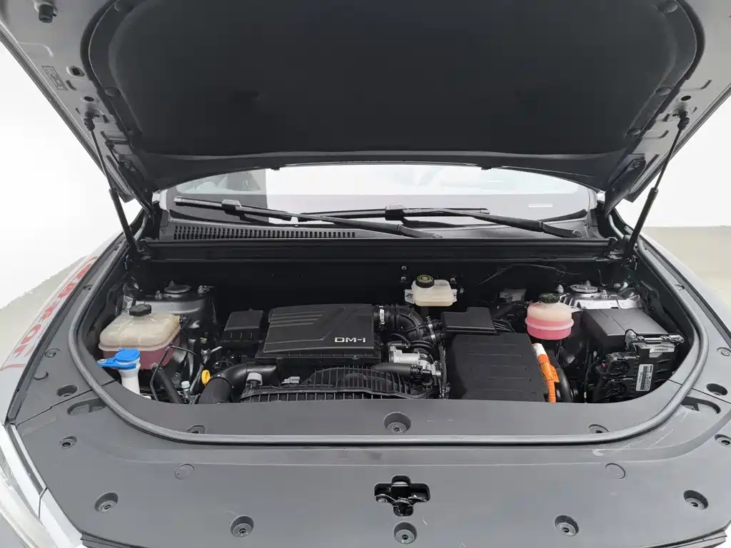 BYD Song Pro New Energy 2022 DM-i 51km Prestige — фото 6